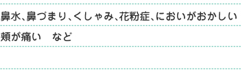 鼻水、鼻づまり、くしゃみ、花粉症、においがおかしい、頬がいたい　など